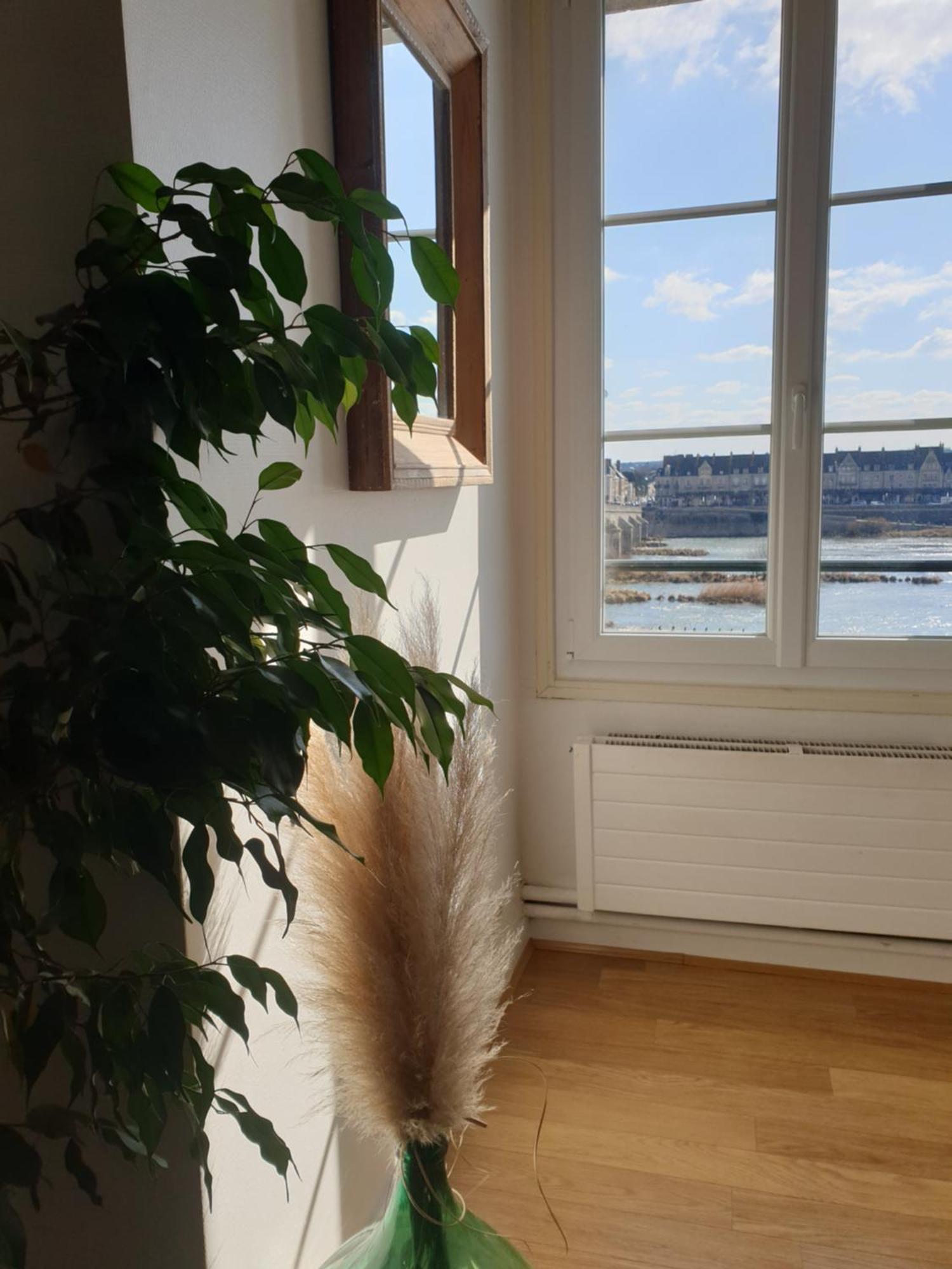 Ferienwohnung Blois, Vue Panoramique Loire Exterior foto